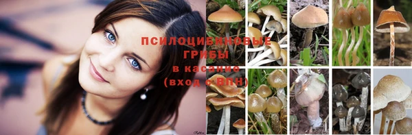 а пвп мука Белокуриха